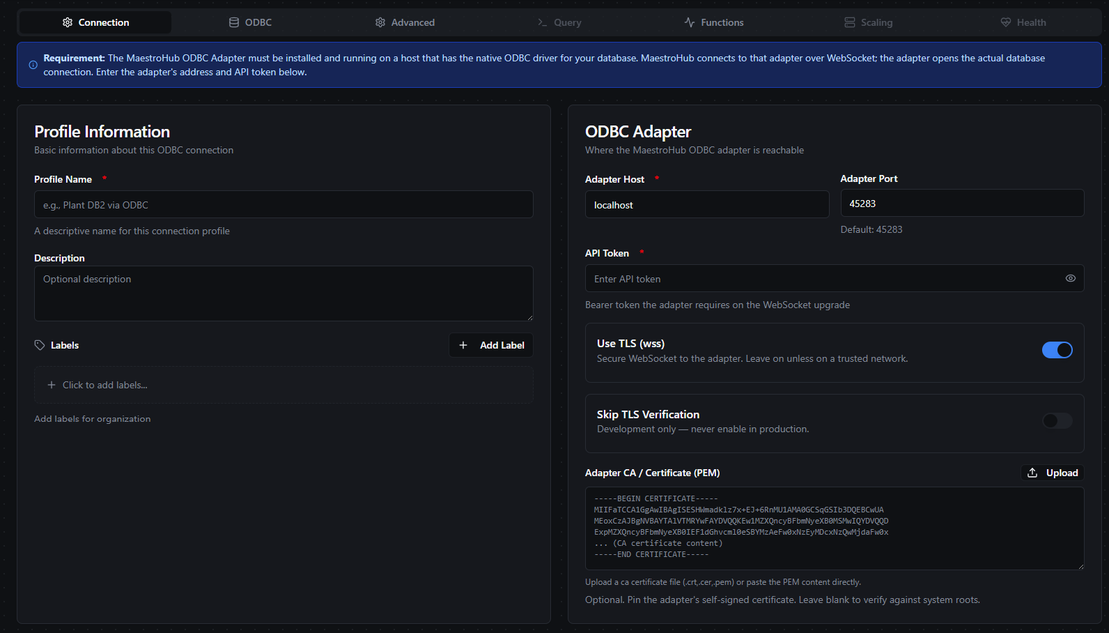 ODBC connection form — Connection tab with adapter host, port, API token, and TLS