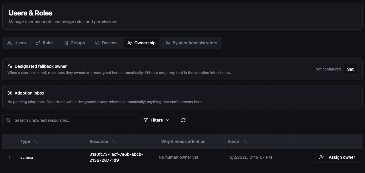 Ownership tab showing the Designated fallback owner card set to Not configured with a Set button, an empty Adoption inbox, and a table with one resource that needs an owner